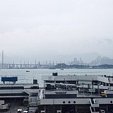 雀斑queban的头像