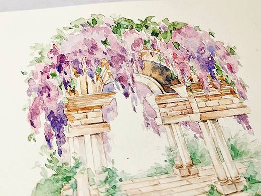 水彩插画