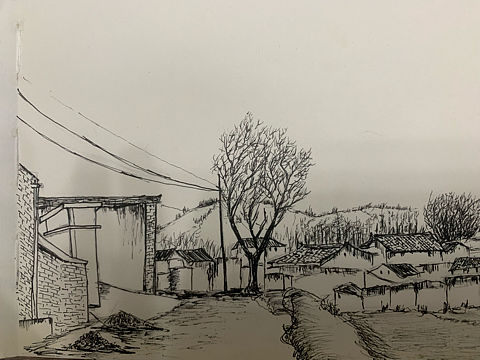 今天的作业-老家的小道