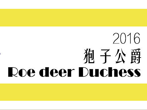 茶叶包装