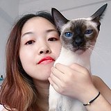 花弦月洛奇的头像