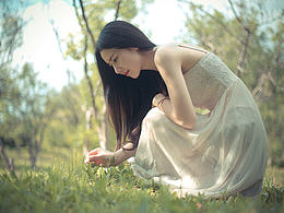 万花丛中白玫瑰