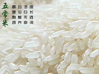 东北五常稻花香不抛光带胚芽一级绿色有机大米 详情
