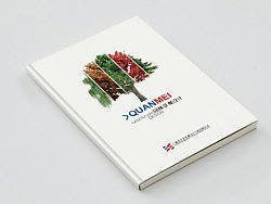 【园林景观设计】画册设计篇——封面