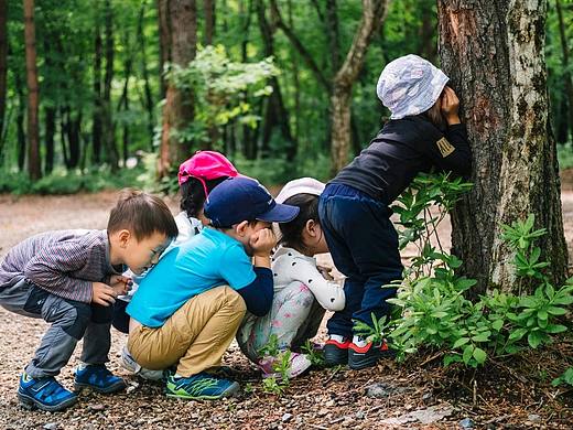 马拉古奇.瑞吉欧教育取向的PLAY+PLUS