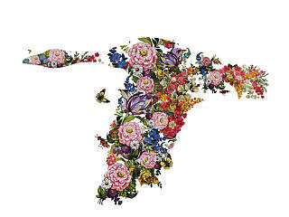 在一次视觉升级