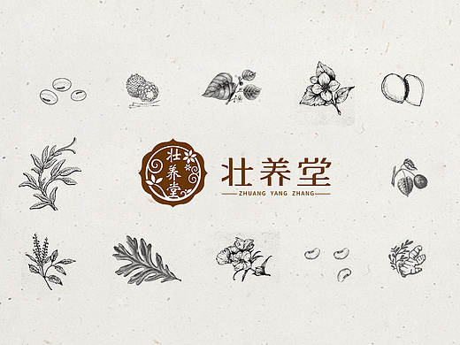 壮养堂保健产品 品牌 VI设计 包装 海报设计