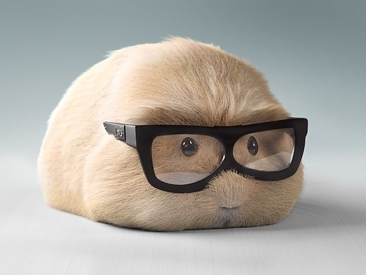 一坨小倉鼠（個人主頁-ZMTM1MzU2MzY=） - 商業(yè)插畫 - 站酷設(shè)計師k_Zin原創(chuàng)素材 - 站酷ZCOOL