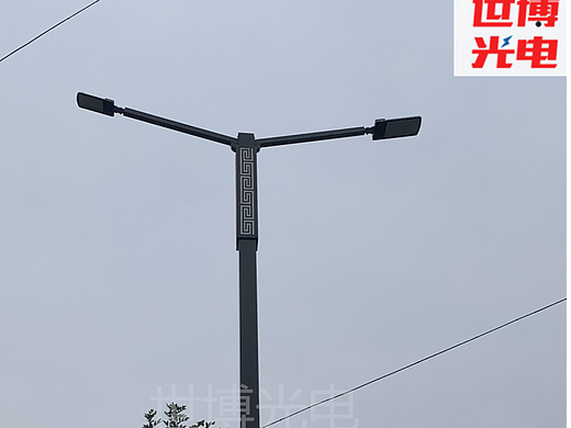 回纹双臂路灯批发-12米回纹路灯杆-特色喷绘双臂路灯杆
