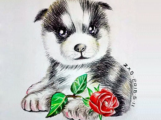 画张二哈,记录我们逗比的日常