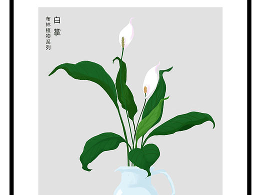 布林植物系列