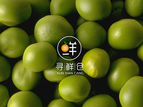 logo 设计 标志设计 水果品牌标志