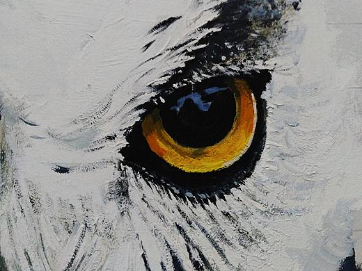 猫头鹰（个人主页-ZMTY4NTQ1Mjg=） - 绘画 - 站酷设计师96TAO原创素材 - 站酷ZCOOL