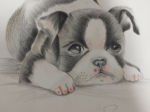 手繪狗狗（個(gè)人主頁(yè)-ZMzAwNTk5NDQ=） - 像素畫(huà) - 站酷設(shè)計(jì)師faye_lhx原創(chuàng)素材 - 站酷ZCOOL