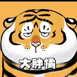薛定谔的咖啡猫的头像
