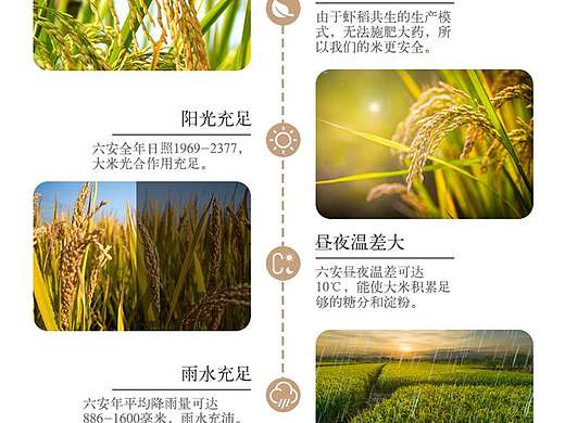 虾田米详情页