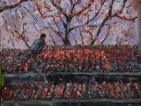 廣州油畫寫生——《木棉花開》