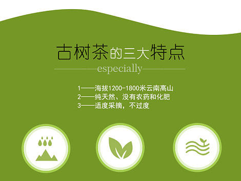 排版——古树普洱茶类宝贝详情页（个人主页-ZMjEyNTM1NDQ=） - 信息图表 - 站酷设计师小金blingbling原创素材 - 站酷ZCOOL