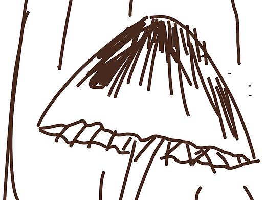 autodesk sketchbook 全平台免费啦（个人主页-ZMjc1NDczODA=） - 新锐潮流插画 - 站酷设计师水上浮漂原创素材 - 站酷ZCOOL