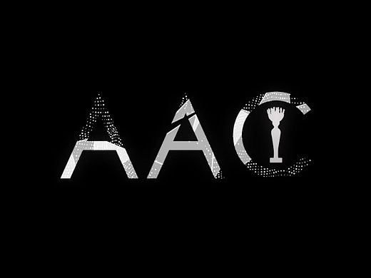 Tenline2015AAC年度影响力评选晚会