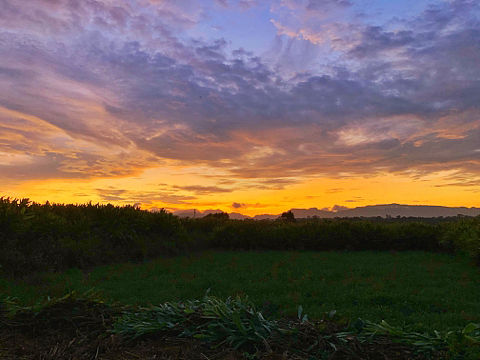 农村小伙三轮摩托车上拍的彩云