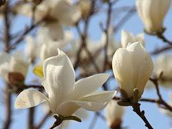 從朝陽公園到南鑼鼓巷（個人主頁-ZMjA4ODQzMg==） - 風光攝影 - 站酷設計師北京新裁縫原創(chuàng)素材 - 站酷ZCOOL