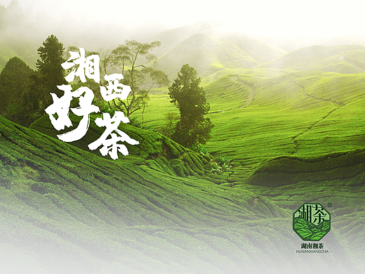 湘茶/湖南湘茶包装设计