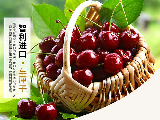 【萱草】撩咋咧陕西美食街-食品水果详情页