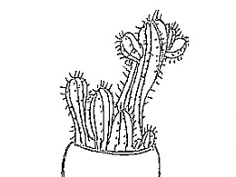 多肉植物怎么画最简单 031d55658c7a22fa801219c77044264.jpg@260w_195h_1c_1e_1o_100sh.jpg