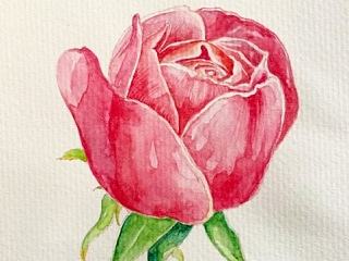 花（个人主页-ZNjI4MjA0MA==） - 创作习作 - 站酷设计师yanghailin7777原创素材 - 站酷ZCOOL