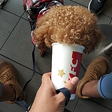 受气包丶的头像