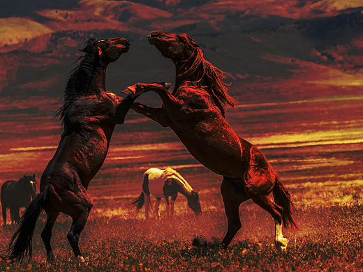 瞎搞搞（個人主頁-ZNTU3ODM1OTY=） - 圖案 - 站酷設計師小志不是我原創(chuàng)素材 - 站酷ZCOOL