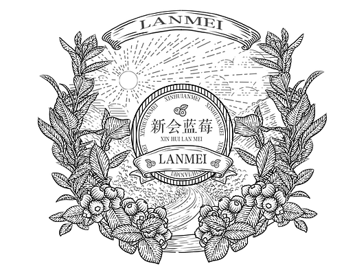 包装合集