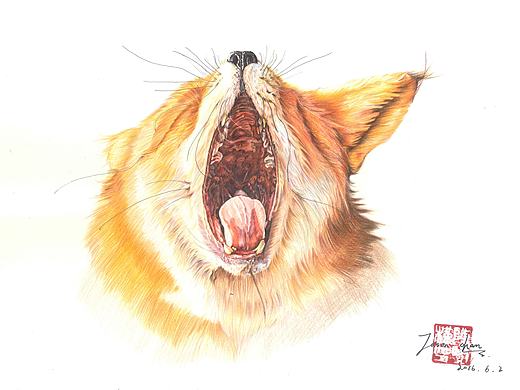 狐狸