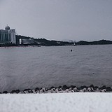 小杜不是小肚的头像