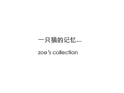 【摄影集】一只猫的记忆