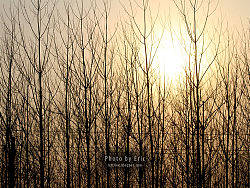 屬于家鄉(xiāng)的顏色（個人主頁-ZNTUxNzQw） - 風(fēng)光攝影 - 站酷設(shè)計師leftlive原創(chuàng)素材 - 站酷ZCOOL