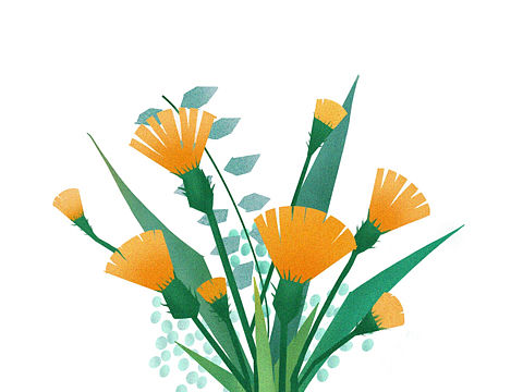植物插画