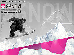 SKONW Visual Identity System 