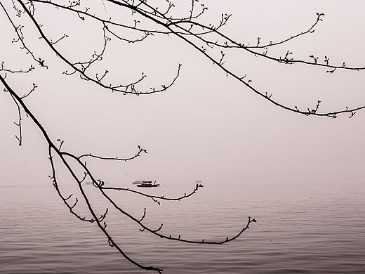 春暖花开西湖景