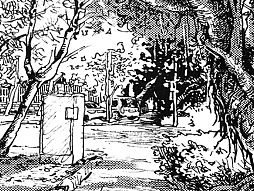 🌿暑热☀️💦