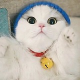 GY宵宵的头像