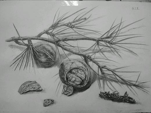 第一张精微素描