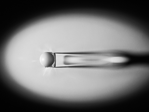 灿馨香水|响马摄影