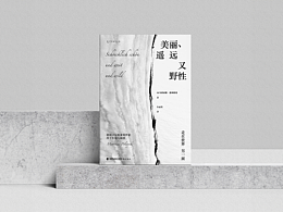 书籍设计