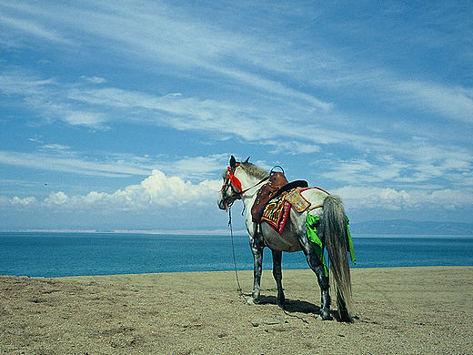 行跡2010-2012（個(gè)人主頁-ZMTQzOTA1NTY=） - 風(fēng)光攝影 - 站酷設(shè)計(jì)師YANBINGSKY原創(chuàng)素材 - 站酷ZCOOL