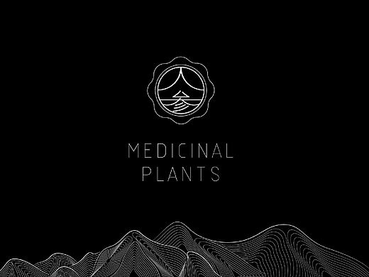 瓦力品牌包装设计大健康医药包装-人参包装