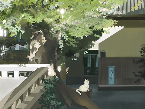 原创插画｜夏日庭院