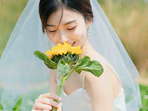 ｜向阳花开｜