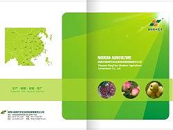 果業(yè)公司簡冊（個人主頁-ZMTY3MjY0NA==） - 其他平面 - 站酷設(shè)計師弘道創(chuàng)意原創(chuàng)素材 - 站酷ZCOOL